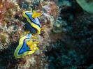 10_PortDouglas_158