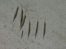 10_PortDouglas_159
