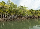 10_PortDouglas_165