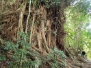 11_TableLands_103