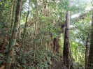 11_TableLands_104