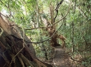 11_TableLands_105