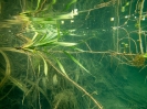 11_TableLands_107