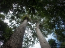 11_TableLands_110