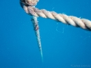 12_Diving_WrackYongala_109