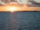 16_Safari_FrenchPolyMaster_104