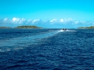 16_Safari_FrenchPolyMaster_107