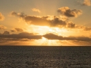 16_Safari_FrenchPolyMaster_139