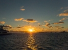 16_Safari_FrenchPolyMaster_140