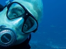 16_Safari_FrenchPolyMaster_144