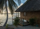 16_Safari_FrenchPolyMaster_158