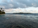 16_Safari_FrenchPolyMaster_160