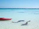 17_Fakarava_8