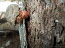 18_Rangiroa_105