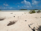 18_Rangiroa_110