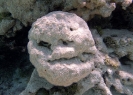 18_Rangiroa_115