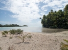 18_Rangiroa_118