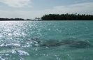 18_Rangiroa_124