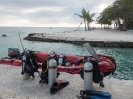 19_Rangiroa_Diving_106