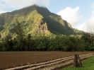 20_Moorea_109