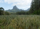 20_Moorea_115