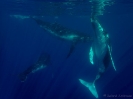 20_Moorea_127