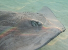 20_Moorea_134
