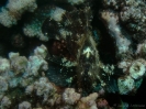 20_Moorea_137