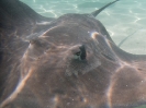 20_Moorea_138