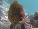 20_Moorea_139