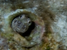 20_Moorea_141