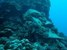 21_EasterIsland_112