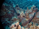 21_EasterIsland_114