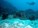21_EasterIsland_116