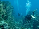 21_EasterIsland_118