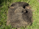 21_EasterIsland_123