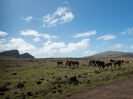 21_EasterIsland_133