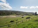 21_EasterIsland_151