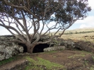 21_EasterIsland_162
