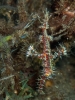 older_photos_14