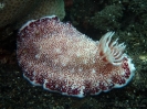 older_photos_16