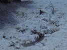 older_photos_18
