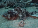 older_photos_19
