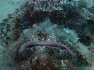 older_photos_20