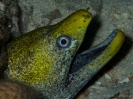 older_photos_22