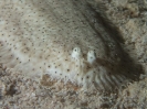 older_photos_24