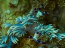 older_photos_25