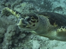 older_photos_26