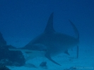 older_photos_2
