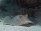 older_photos_32